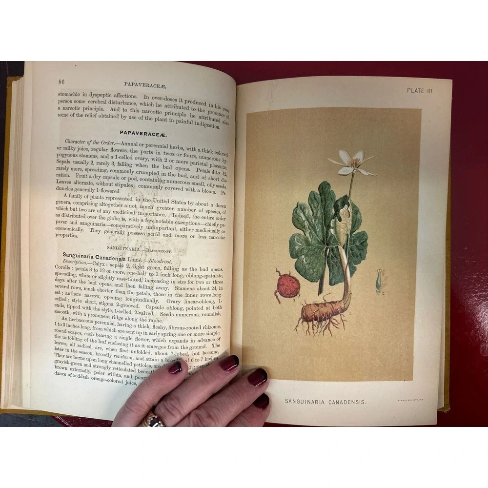 RARE A Manual of the Medical Botany of North America Laurence Johnson 1st E 1984